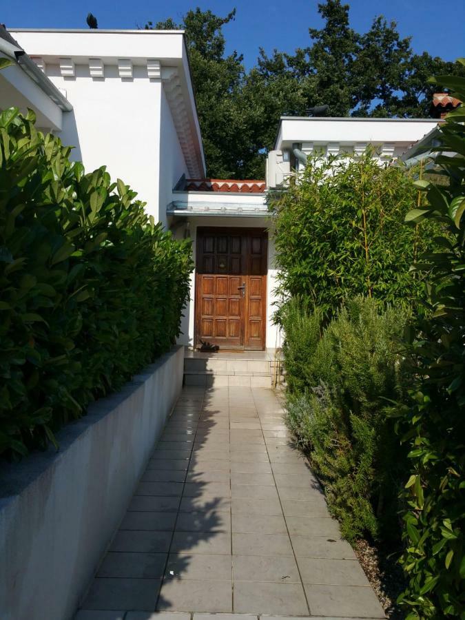 Residence Vogt Porec Esterno foto